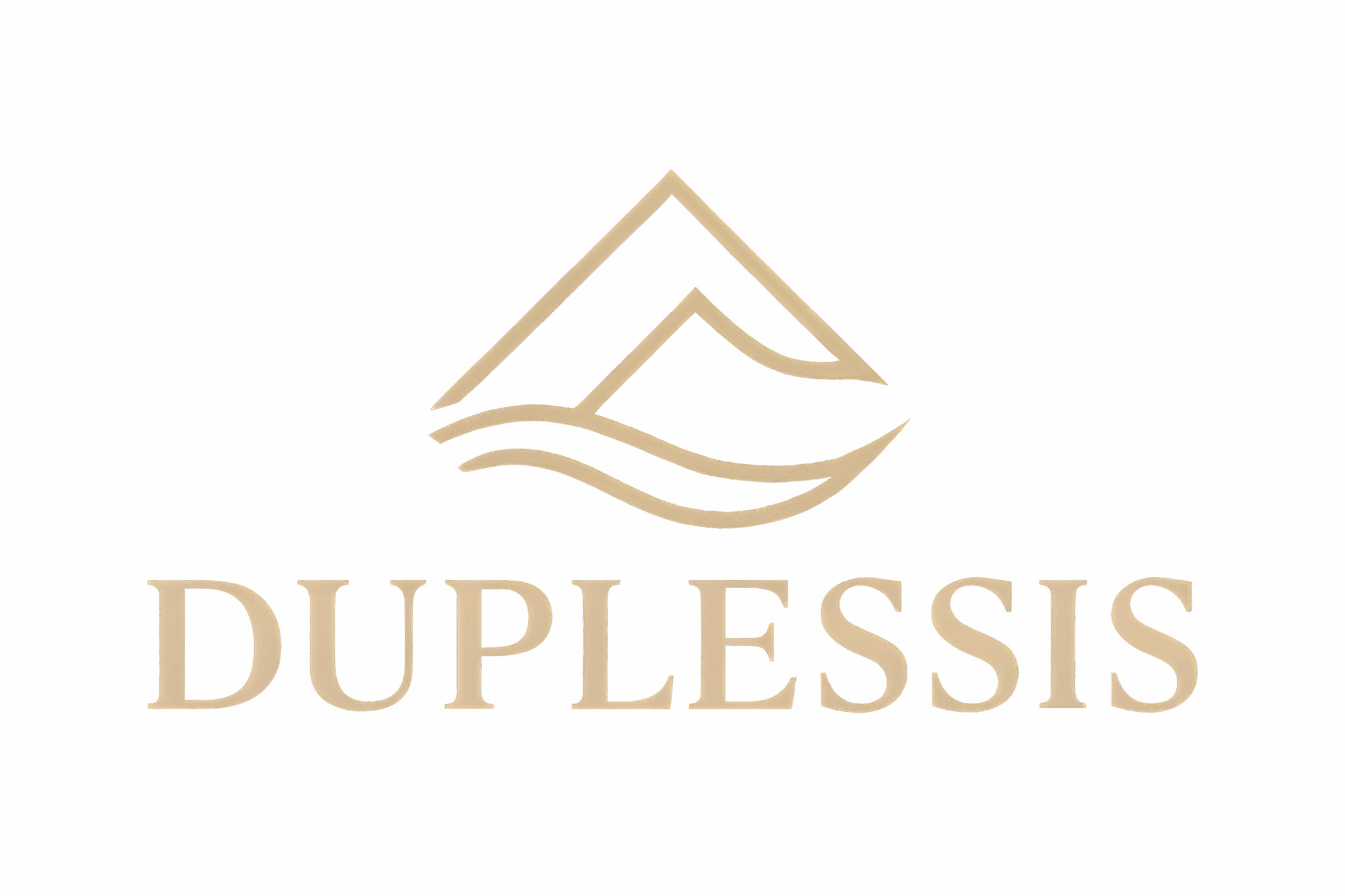 Duplessis Logo